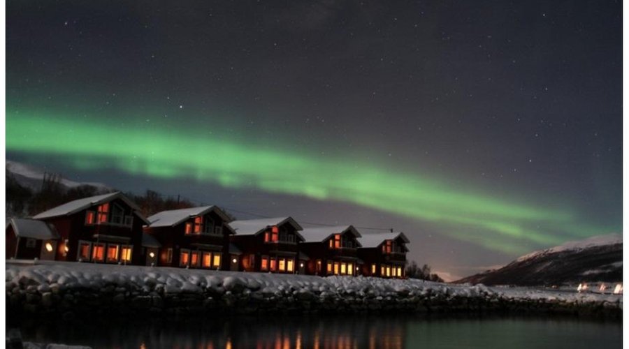 Aurora visiting our camp very often!