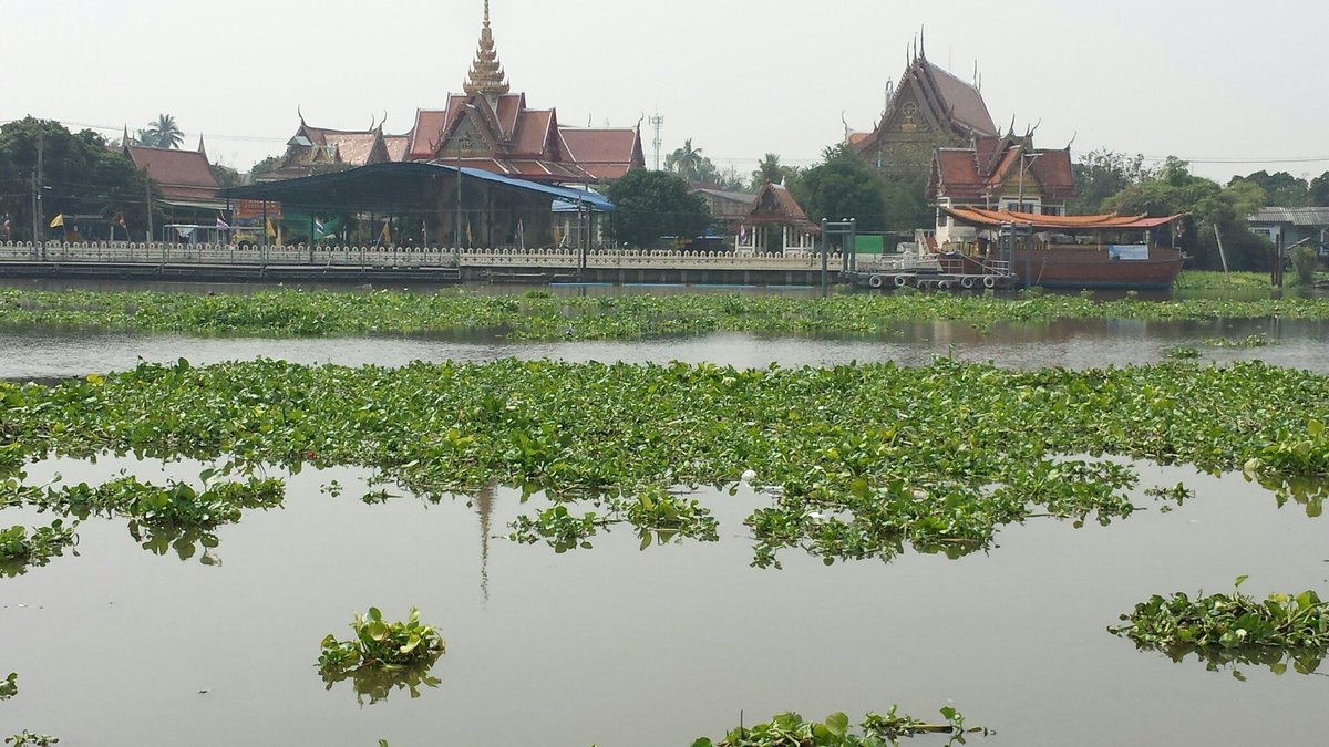 Koh Kret, Ko Kret: лучшие советы перед посещением - Tripadvisor