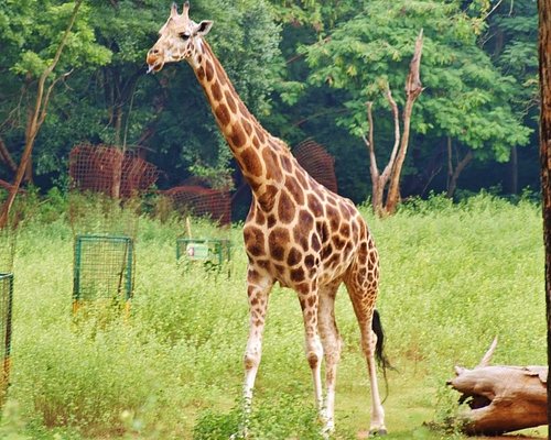 chennai main tourist places