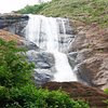 Things To Do in Thenmala Ecotourism, Restaurants in Thenmala Ecotourism