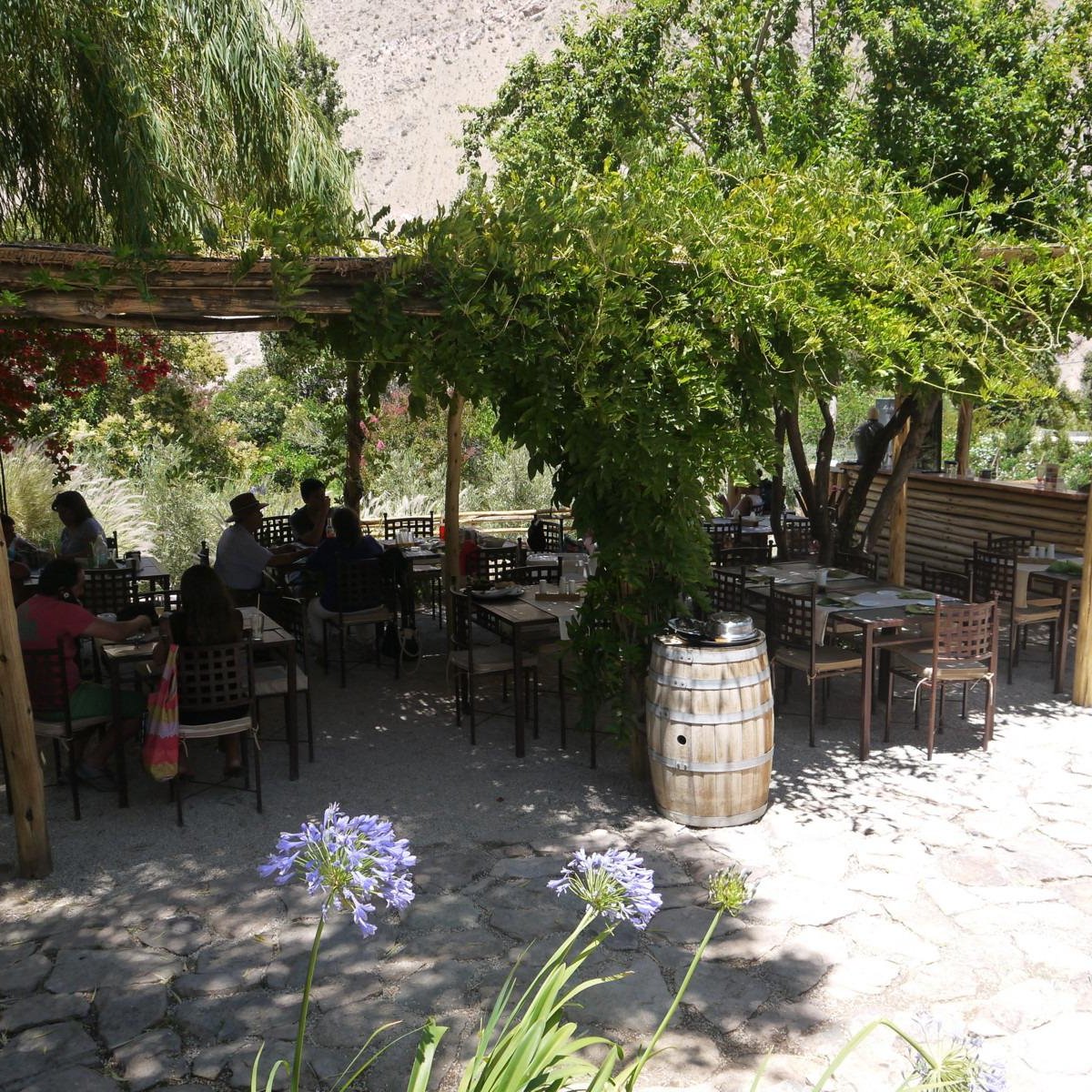 Destileria Pisco Mistral, Писко-Элки: лучшие советы перед посещением -  Tripadvisor