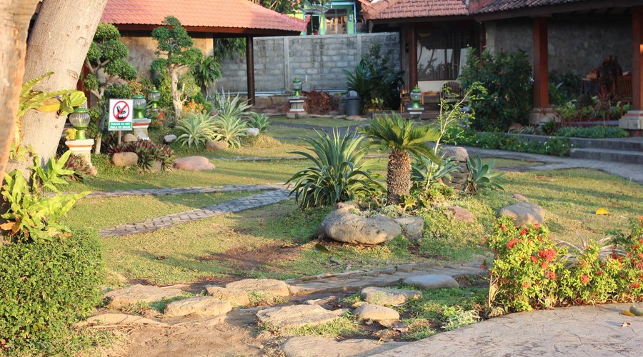 Gardens in the hotel