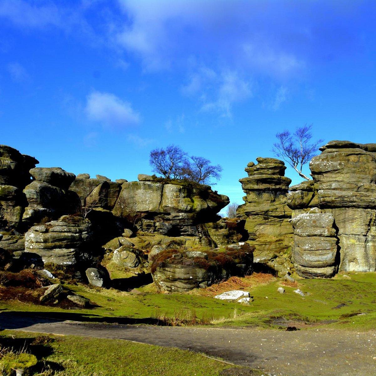 Brimham Rocks Harrogate Brimham Rocks Yorumları Tripadvisor