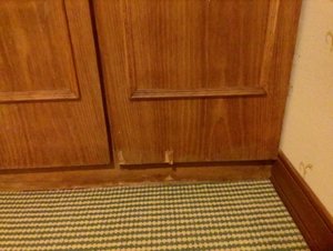 Room & Suite