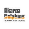 AkaroaDolphins