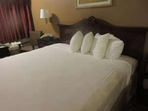 Room & Suite