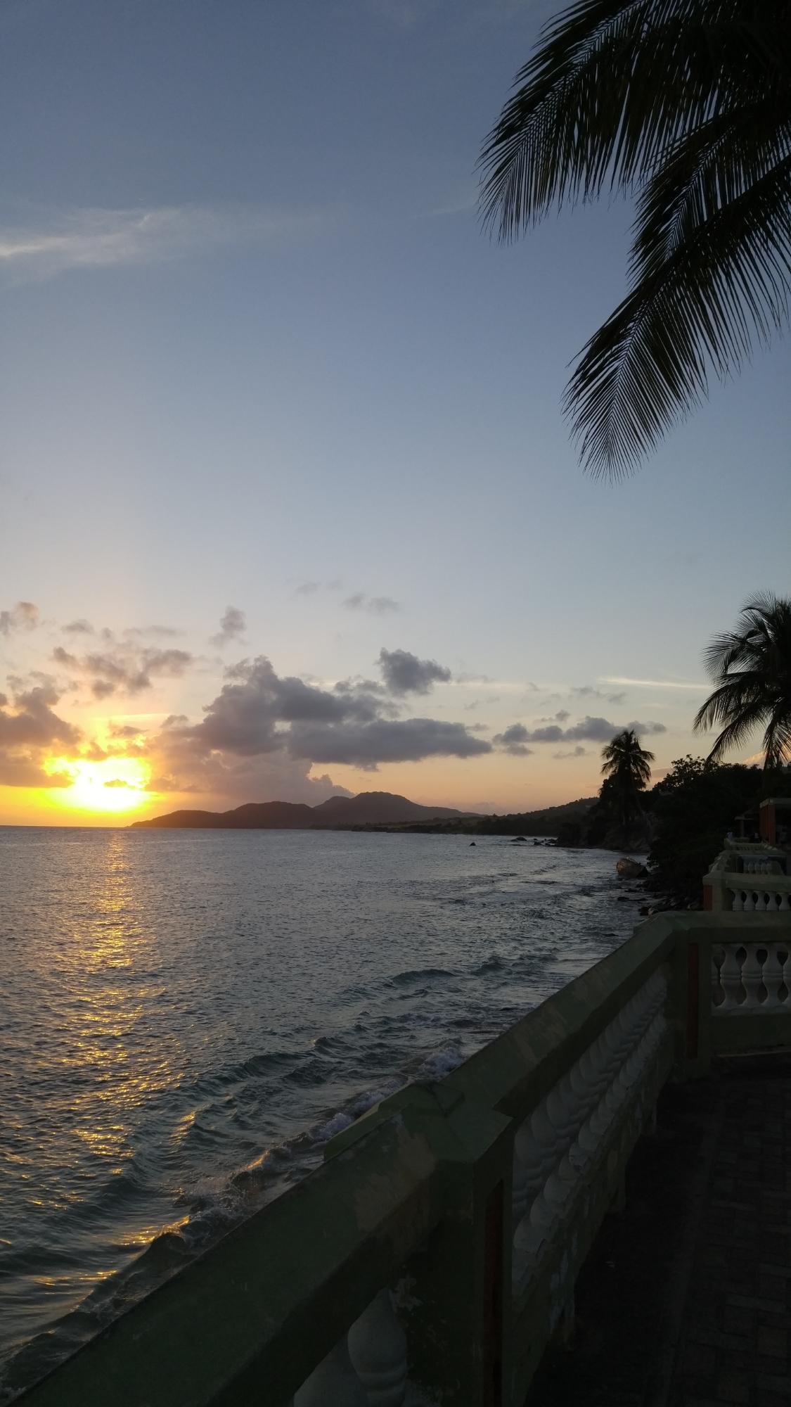 BANANAS GUESTHOUSE - Updated 2024 Guest house Reviews (Isla de Vieques, Puerto  Rico)