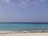 Dimitris_16561