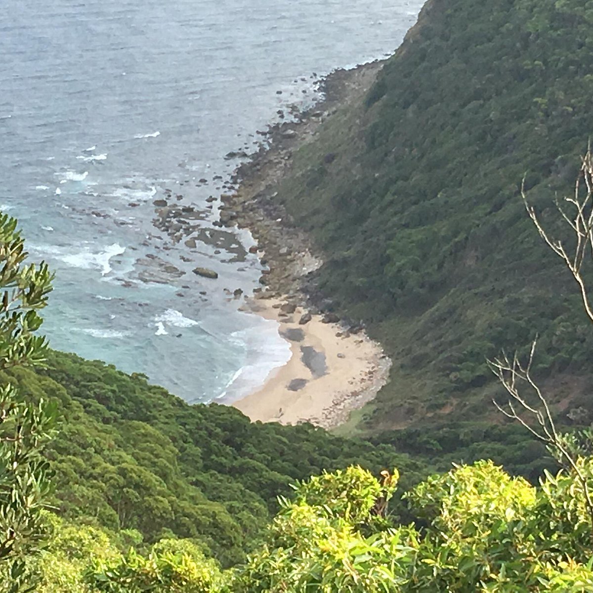 Hidden Nude Beach - Werrong Beach (Royal National Park): All You Need to Know