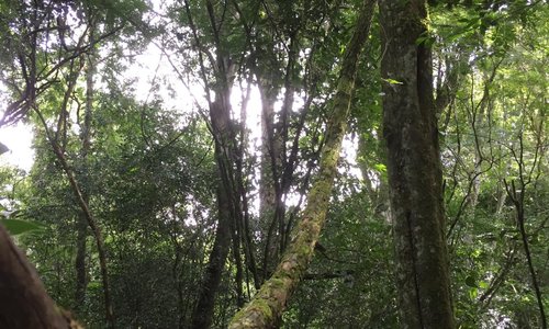 National Park Cordillera San Rafael