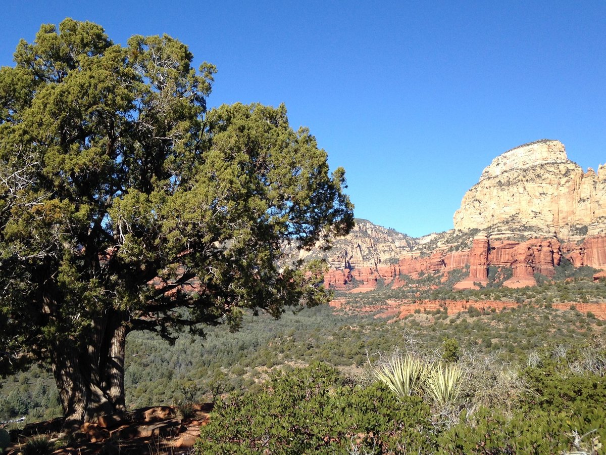 Sedona Healing Journey - All You Need to Know BEFORE You Go