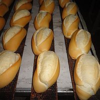 pães fresquinhos o dia todo .