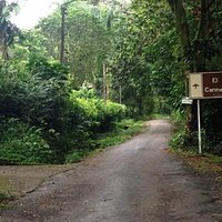 Ascenso hacia la Vereda El Carmen, un lugar lleno de naturaleza y vida.