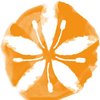lazagarabeb
