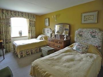 Chintz