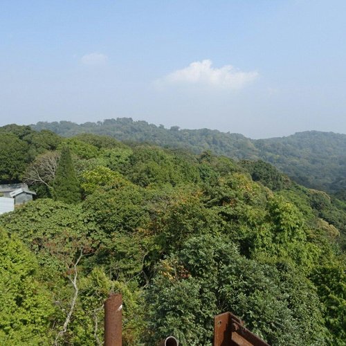 Experience Nature in Meghalaya's National Parks