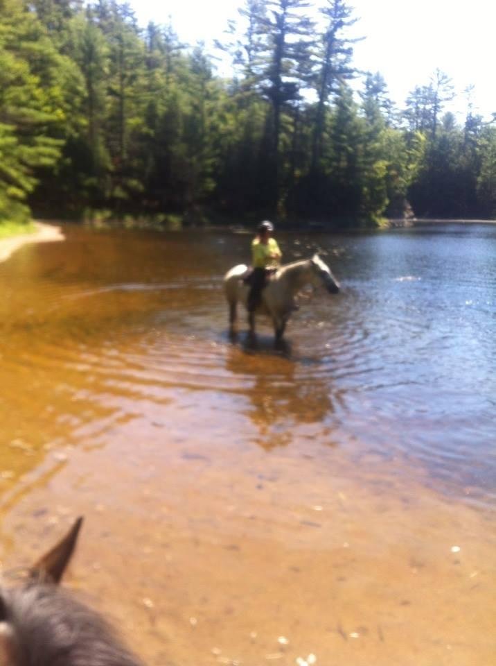 Horseback camping near outlet me