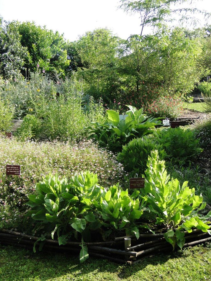 Imagen 7 de Jardin botanique littoral de Saint-Jean-de-Luz