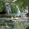 Vasilis T