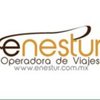 enestur