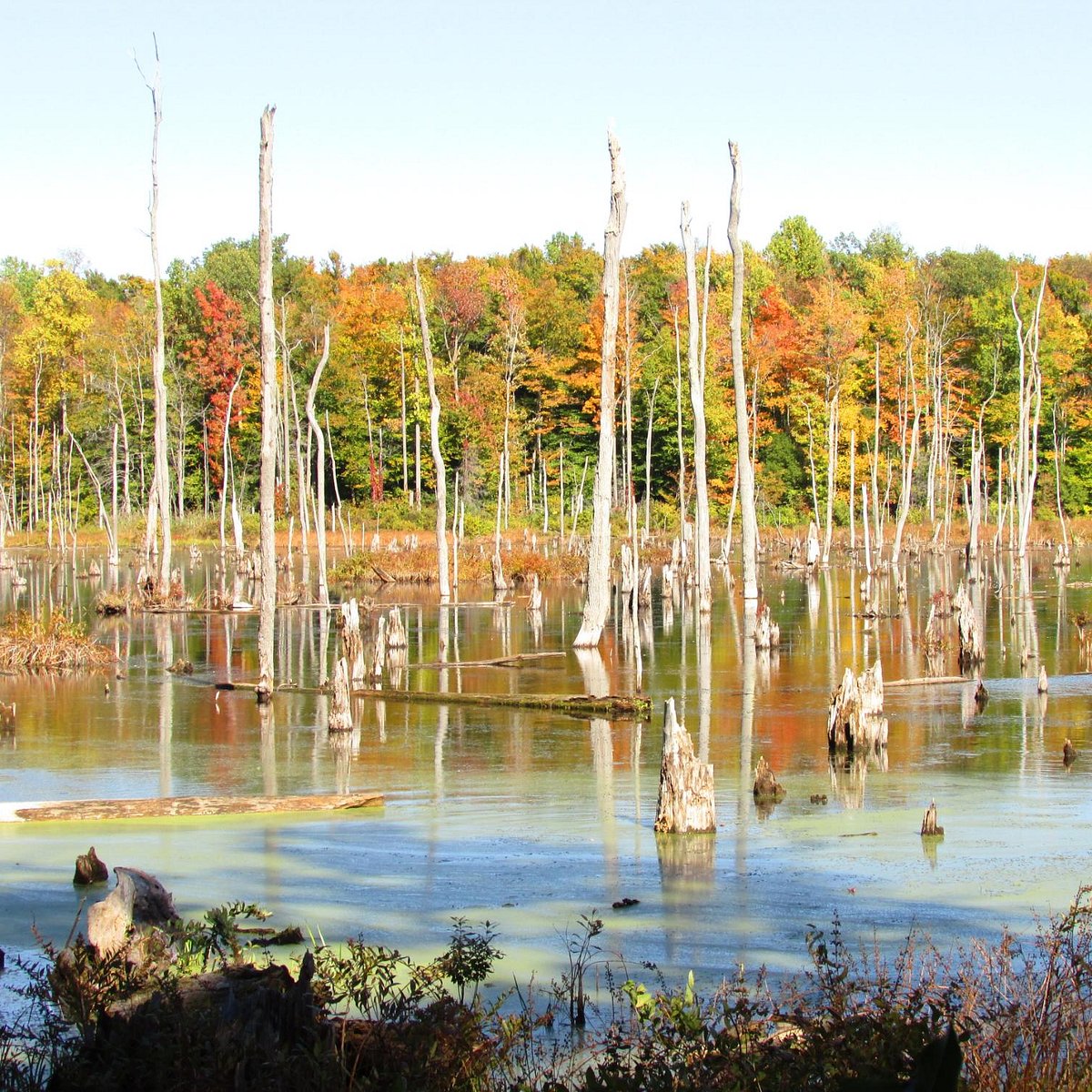 Sterling Nature Center 2021 All You Need to Know BEFORE You Go (with