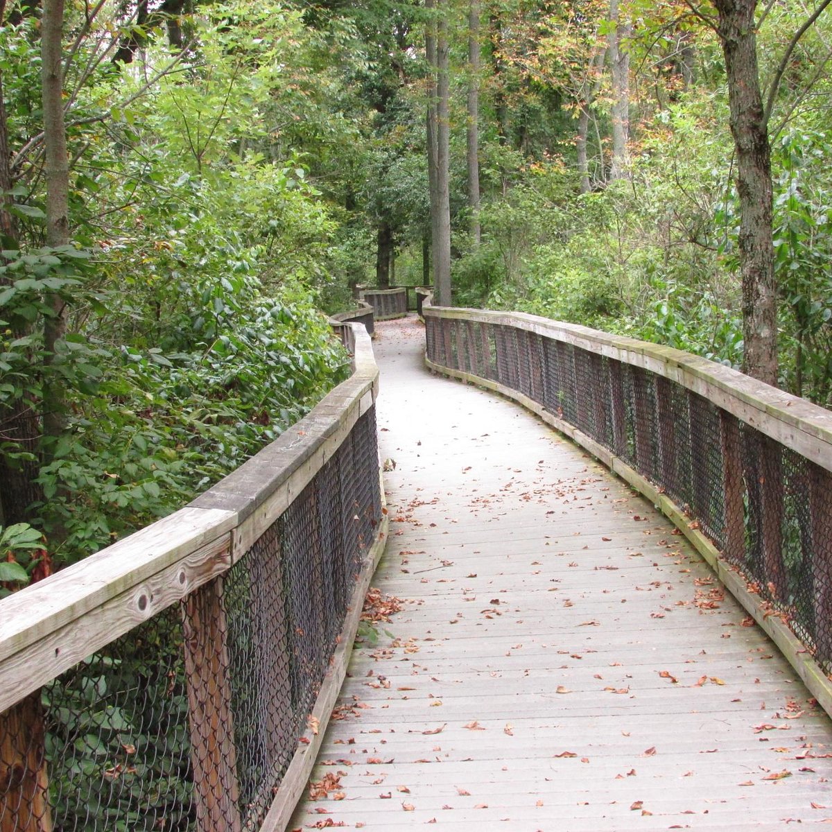 Swallow Hollow Nature Trail (Alabama) 2022 Alles wat u moet weten