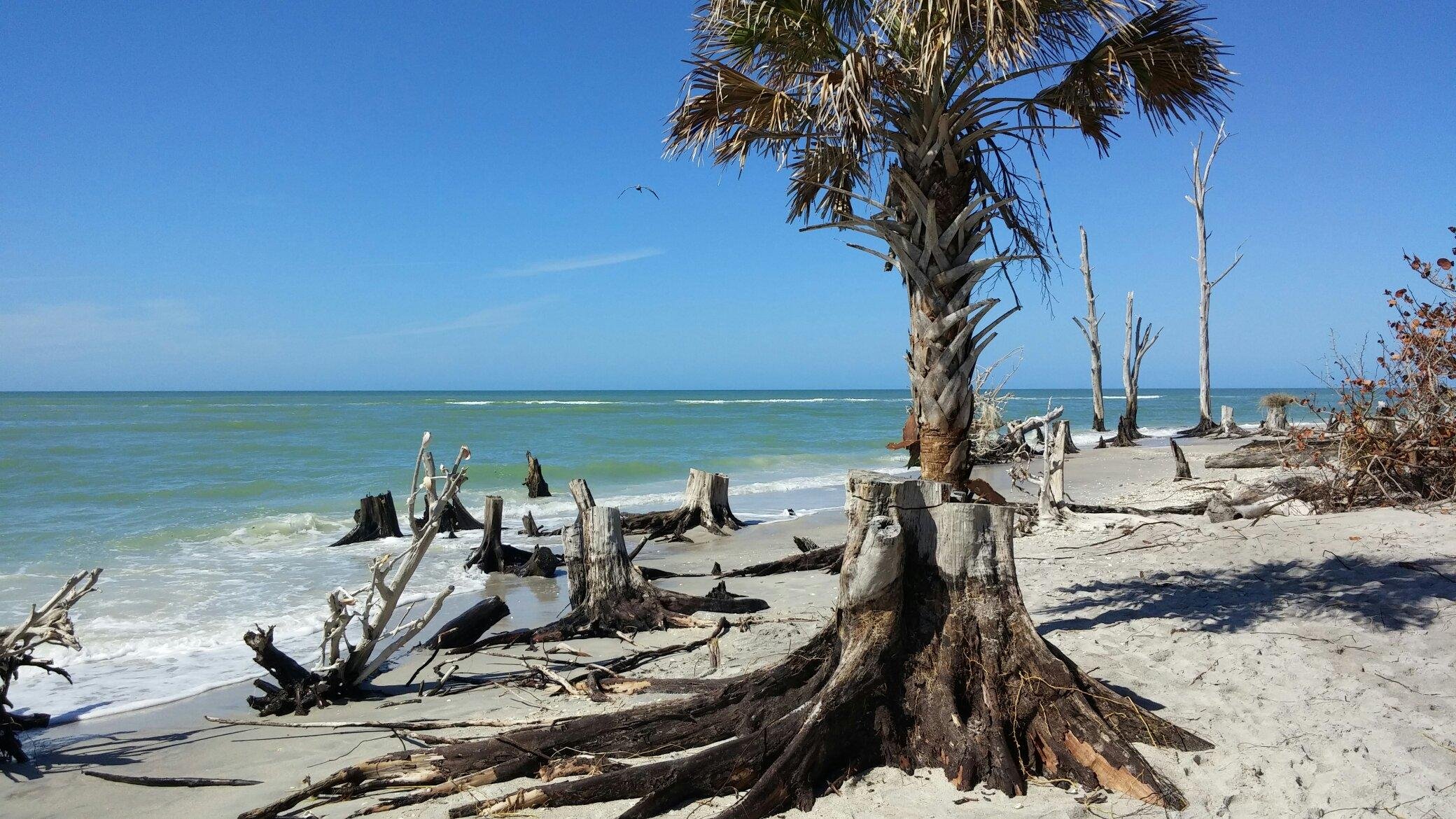 Stump Pass Beach State Park All You Need to Know BEFORE You