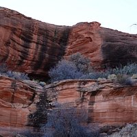 Hanging Gardens in Winter