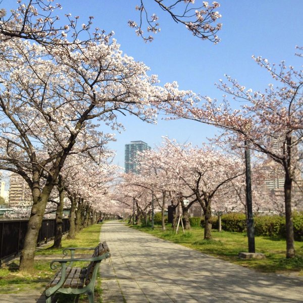 Flower Expo Memorial Park Tsurumi Ryokuchi (Osaka, Japan): Hours ...