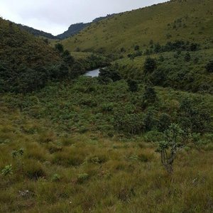 Riverston Echo Lodge