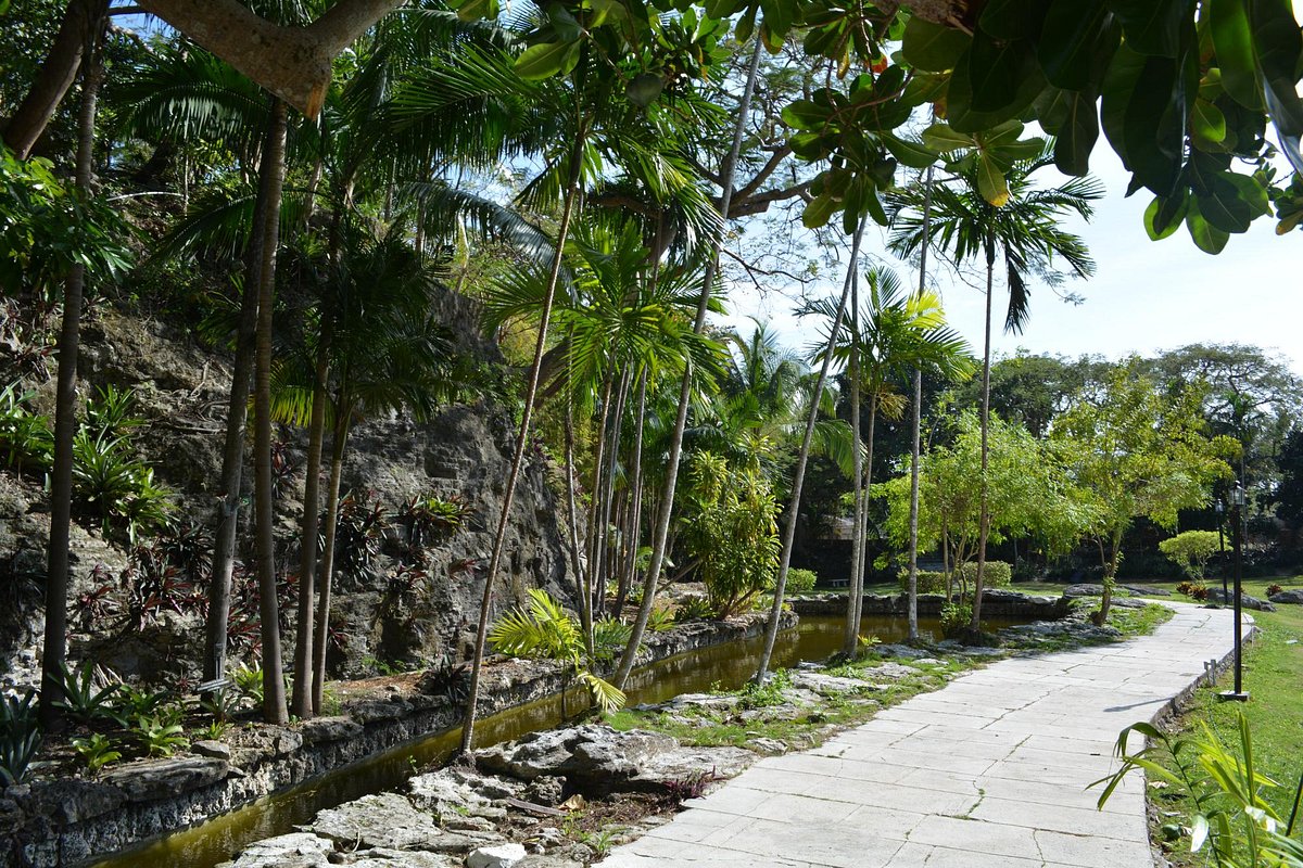 Jardin botanique de Nassau
