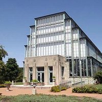 The Jewel Box