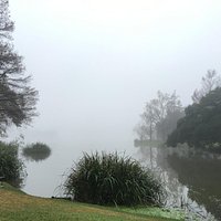 Foggy Morning on University Lake