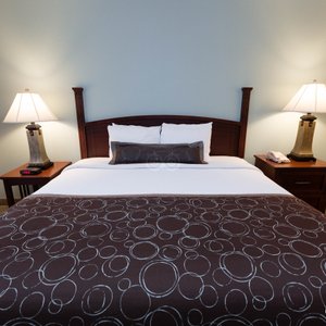 The King Studio at the Staybridge Suites San Antonio NW near Six Flags Fiesta Texas