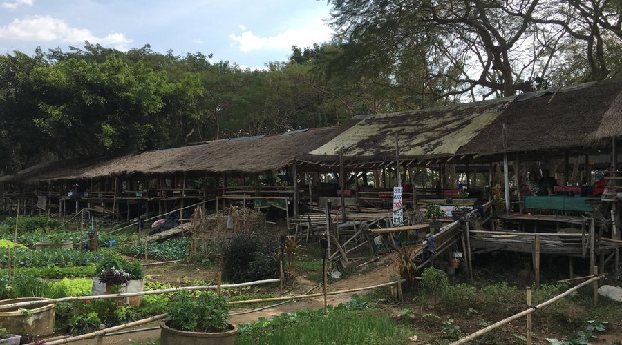 authentic Thai life, brilliant!