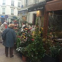 Flowers, plants and lemon trees ready to buy in February!
