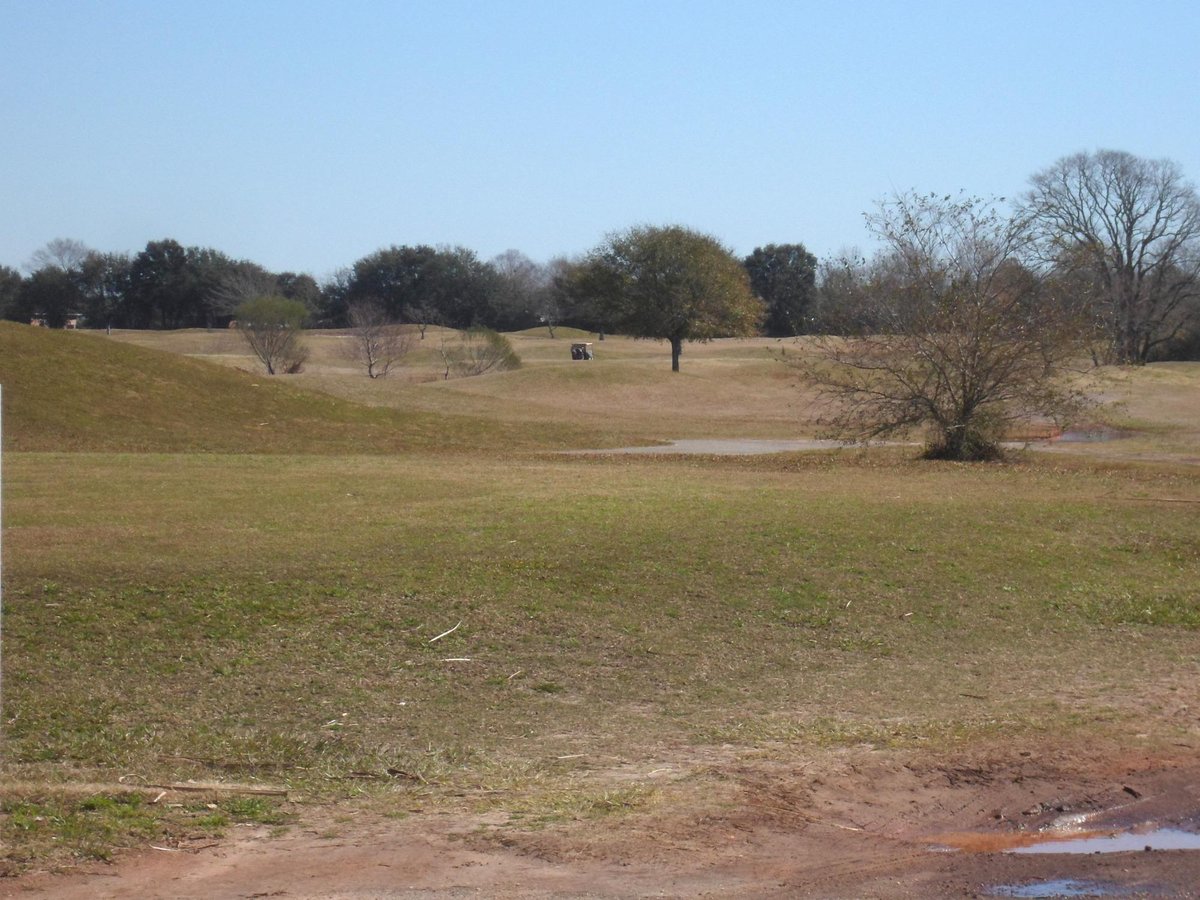 Gulf Links Golf Center (Foley) All You Need to Know BEFORE You Go