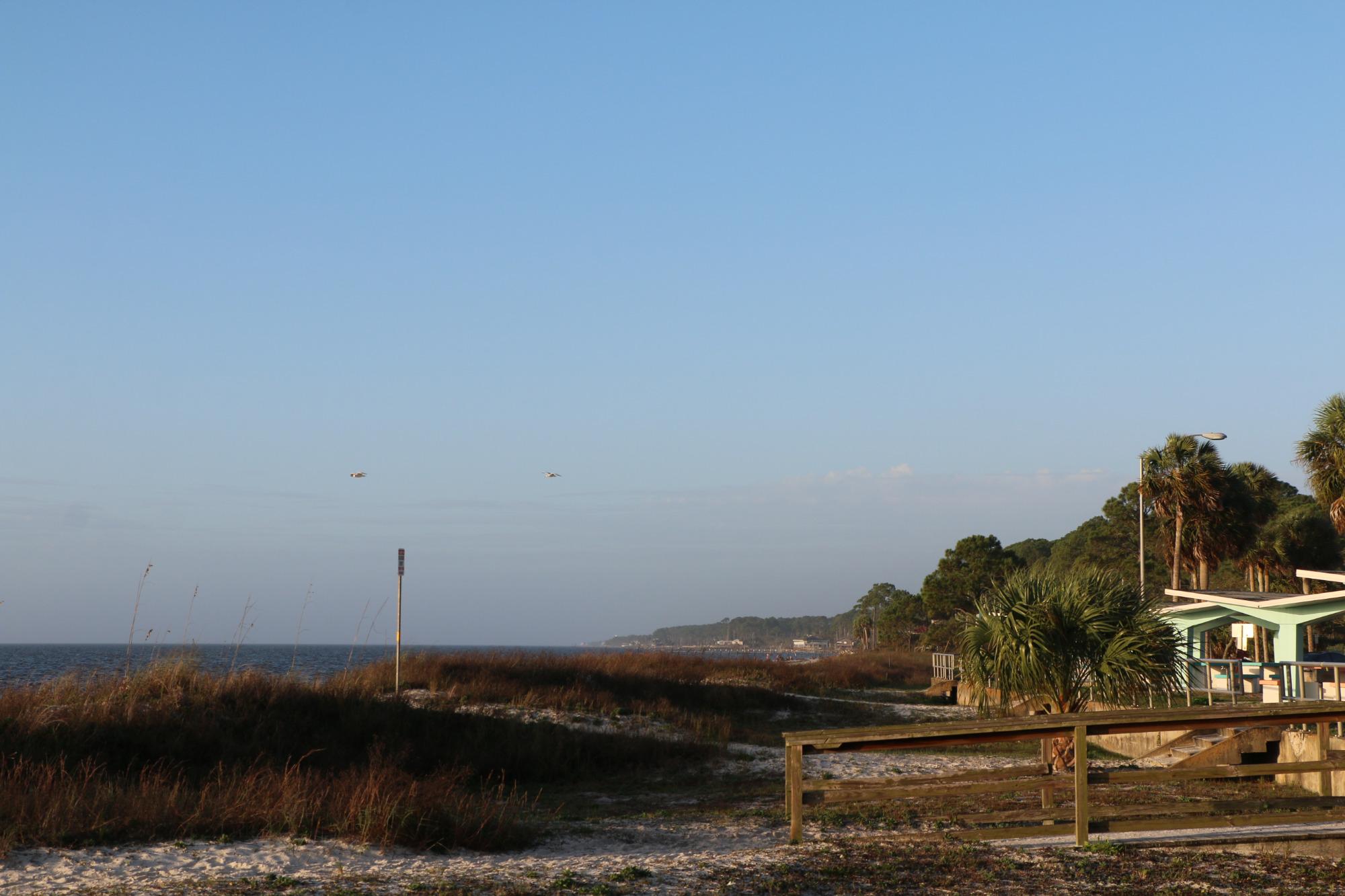 THE 15 BEST Things To Do In Carrabelle 2021 With Photos Tripadvisor   Carrabelle Beach 