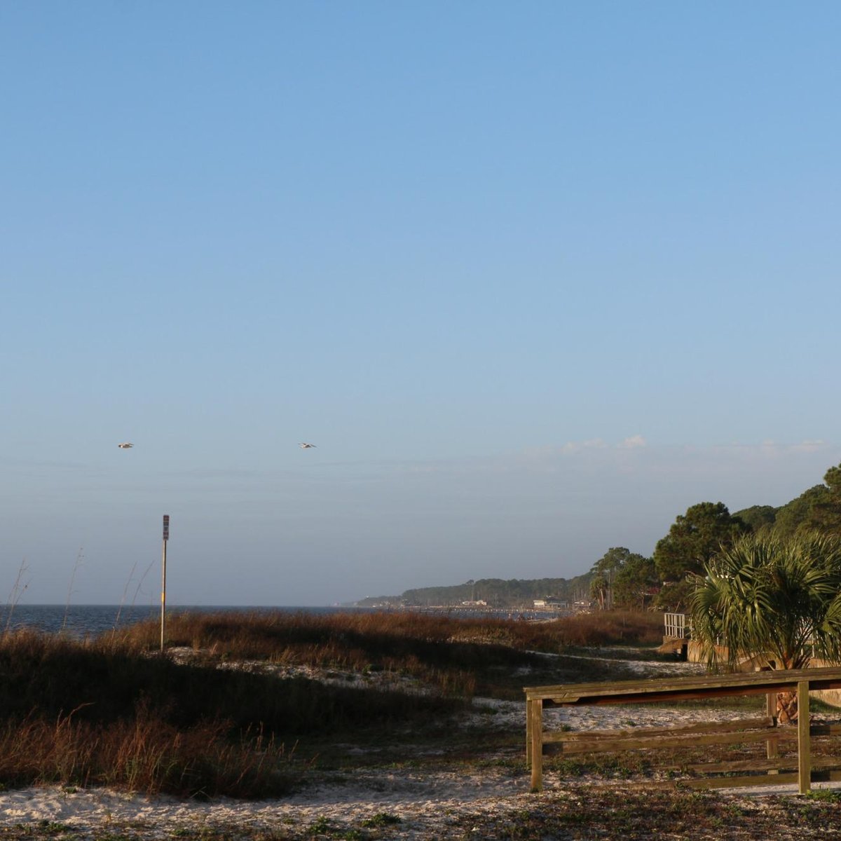 Carrabelle Beach All You Need To Know Before You Go Updated 2021 Fl Tripadvisor