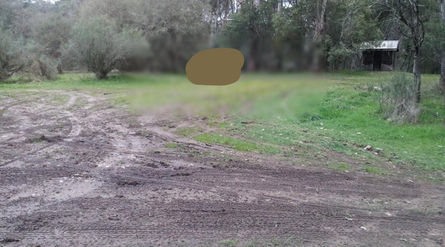 Part of this large camping ground.