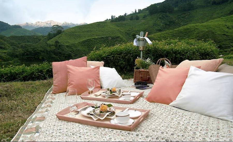 Welcome to Singtom Tea Estate & Resort