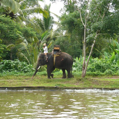 2023年 Bali Elephant Camp - 行く前に！見どころをチェック