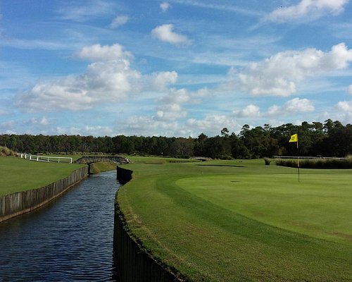 Golfe em Orlando: Conheça os melhores campos para praticar o esporte! 