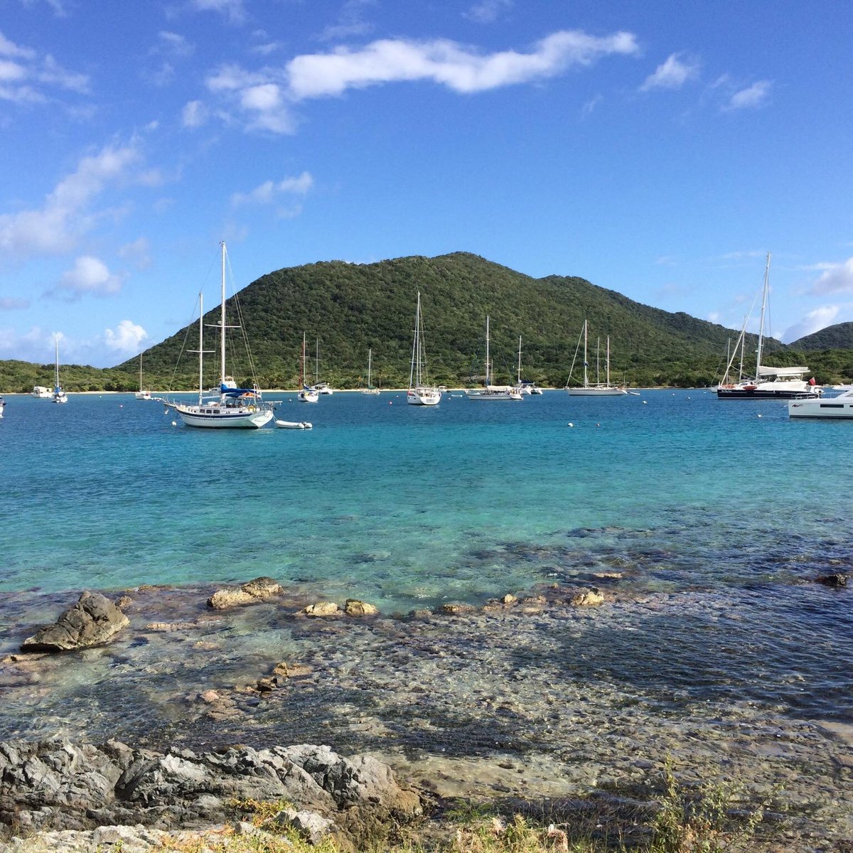  trellis bay tripadvisor