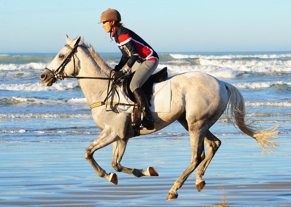 THE 10 BEST South Australia Horseback Riding Tours (2024)