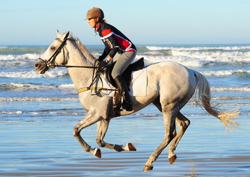 Braeside Equestrian Centre