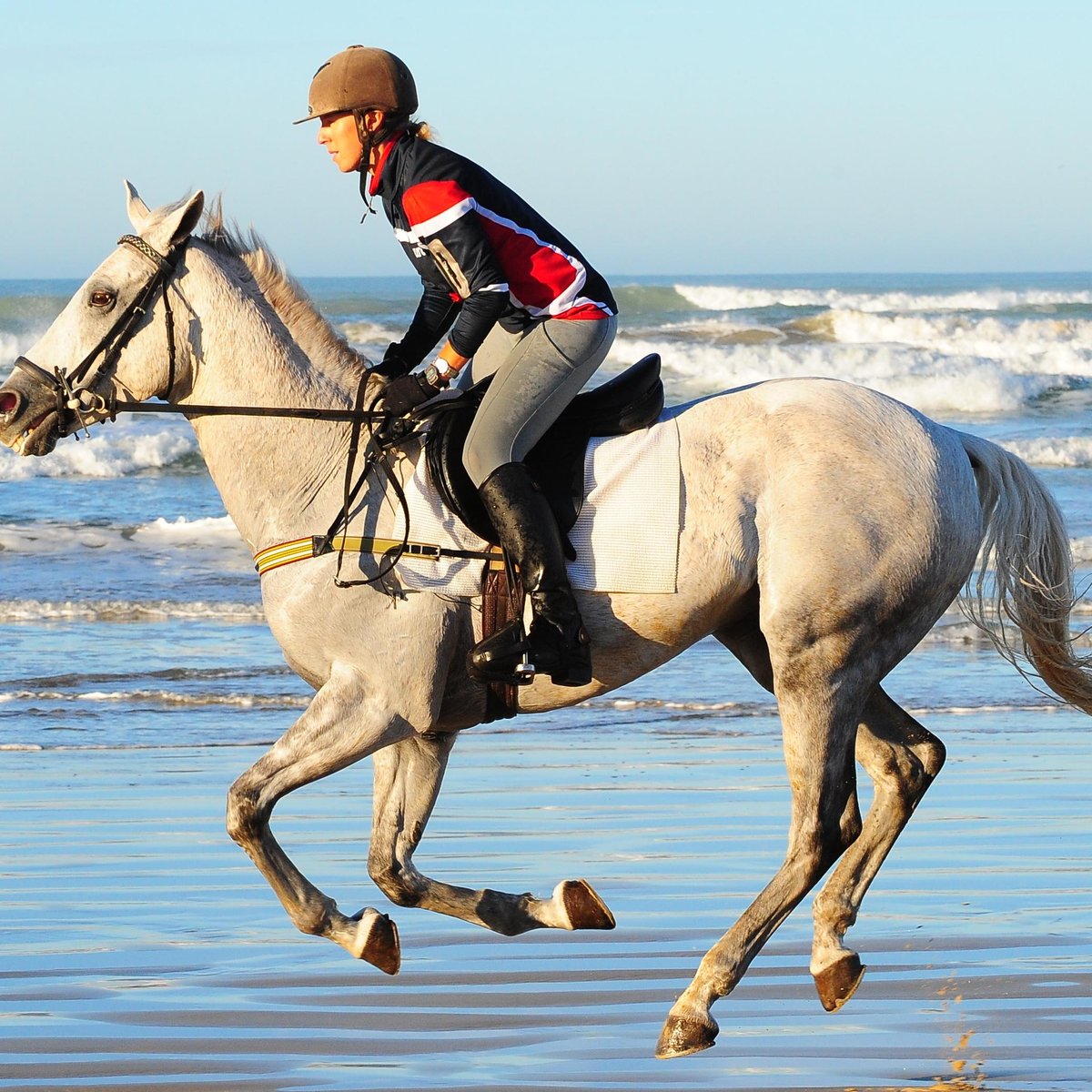 Kirby Park - Megan Jones Riding School (Hahndorf): All You Need to Know