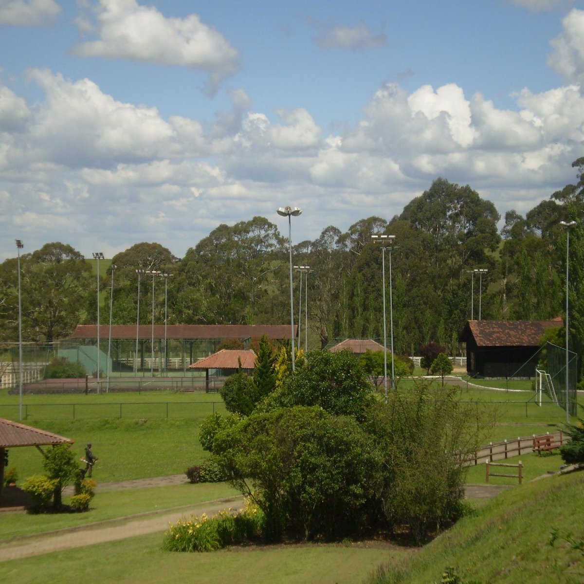 O nome das coisas: Passeio na fazenda