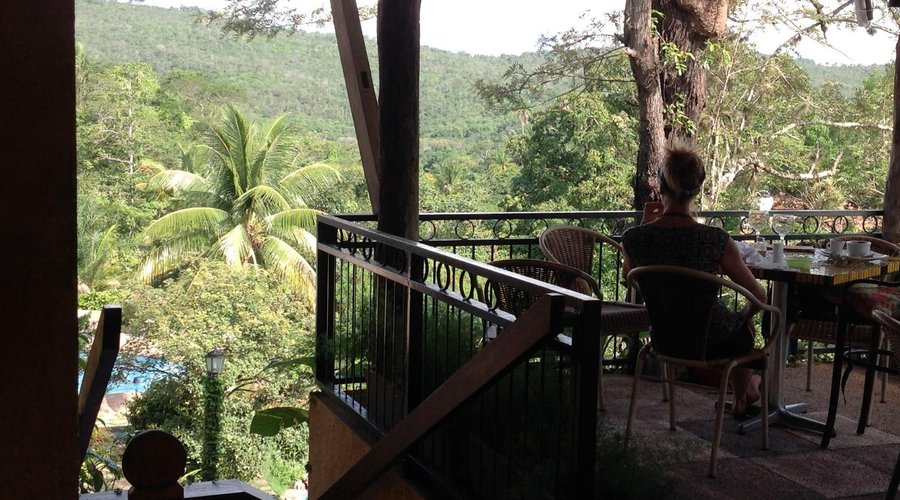 rincón de la terraza del restaurante con el jardín del hotel