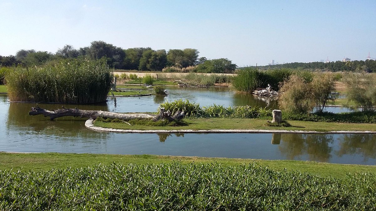 Wasit Wetland Centre (Sharjah) - All You Need to Know BEFORE You Go